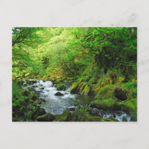Postal Stream en Springtime