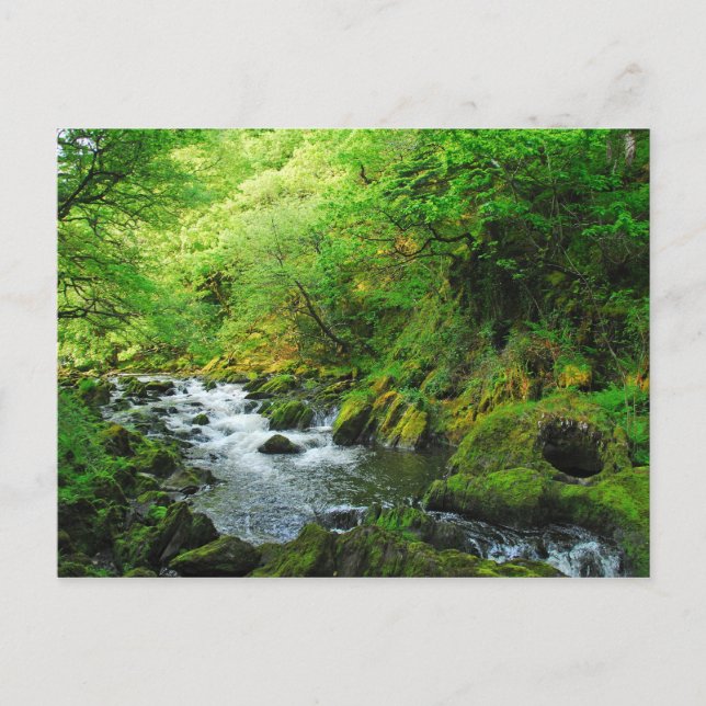 Postal Stream en Springtime (Anverso)