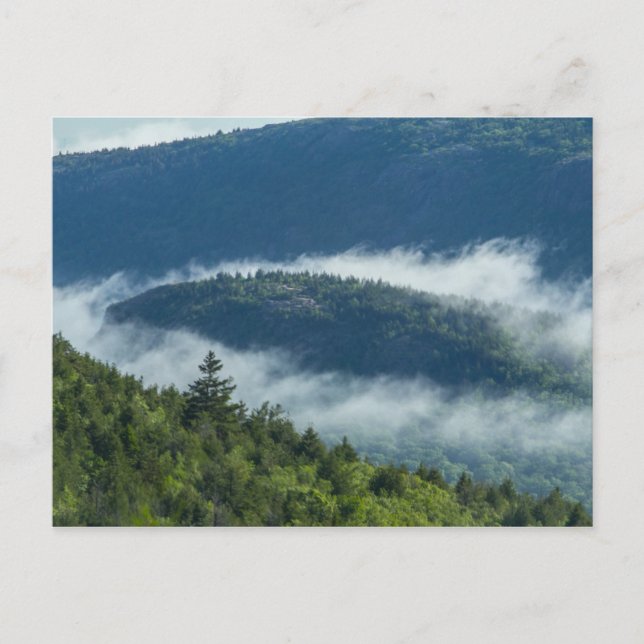 Postal Streaming de niebla por Connors Nubble, Acadia NP, (Anverso)