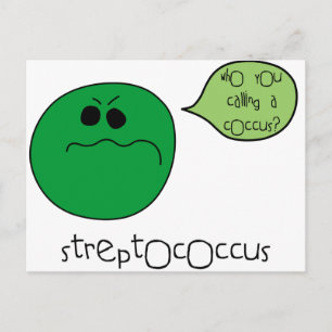 Postal Streptococcus