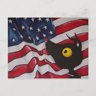 Postal Stressie Cat en los EE.UU.