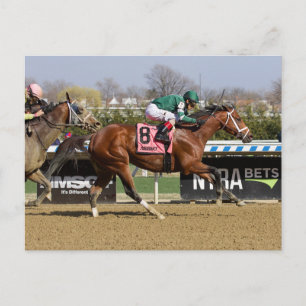 Postal Stride for Stride