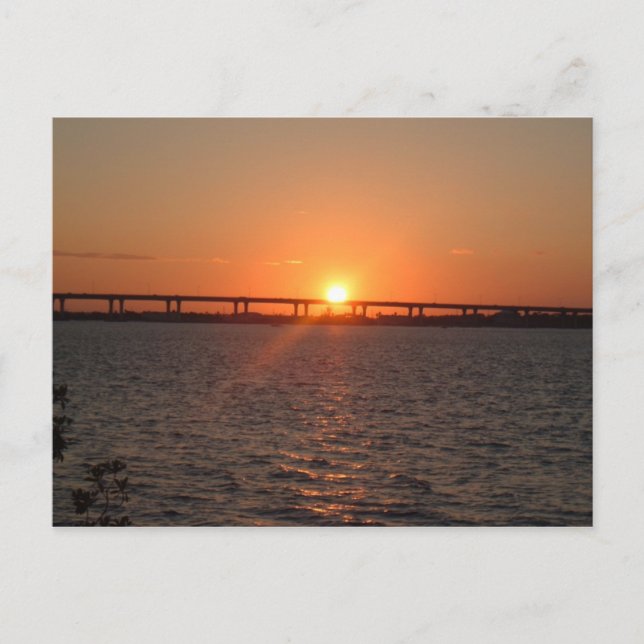 Postal Stuart, FL (Anverso)