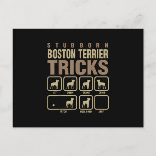 Postal Stubborn Boston Terrier Tricks Perro T-Shirt
