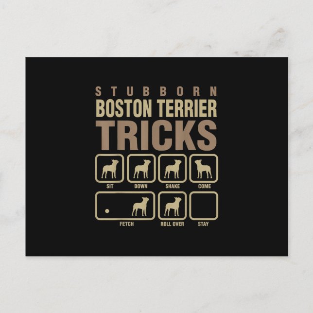 Postal Stubborn Boston Terrier Tricks Perro T-Shirt (Anverso)