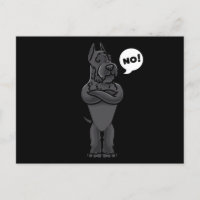 Stubborn Giant Schnauzer