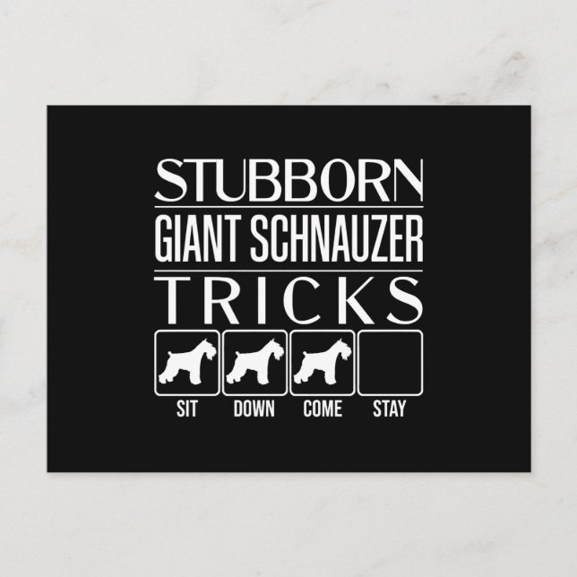 Postal Stubborn Giant Schnauzer Tricks, gracioso gigante  (Anverso)