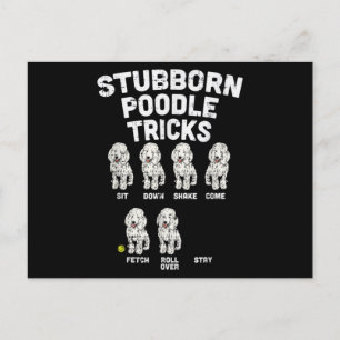 Postal Stubborn Poodle Tricks, graciosa dueña de un amant