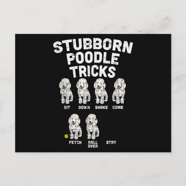 Postal Stubborn Poodle Tricks, graciosa dueña de un amant (Anverso)
