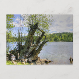 Postal Stumped - Lago Marshall
