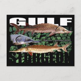 Postal Sturgeon-Collage-Postcard del Golfo
