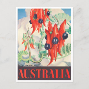Postal Sturt Desert Pea Australia Viaje vintage