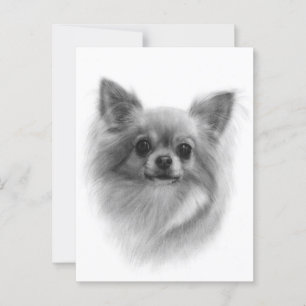 Postal Su Majestad Fluffy - Retrato Chihuahua Pintado A M