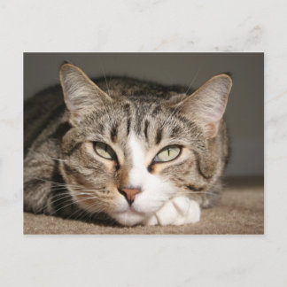 Postal Su nombre es Asia