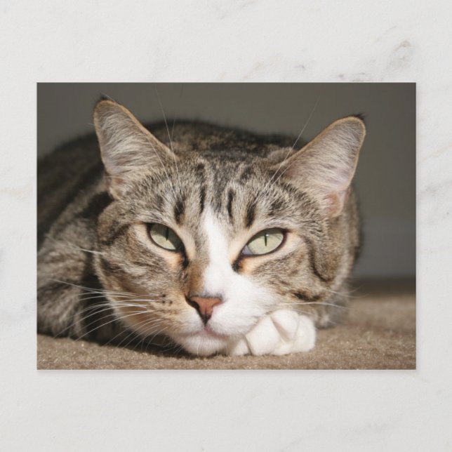 Postal Su nombre es Asia (Anverso)