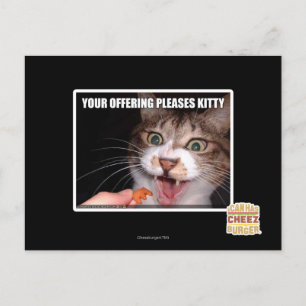 Postal Su Oferta Alegra A Kitty