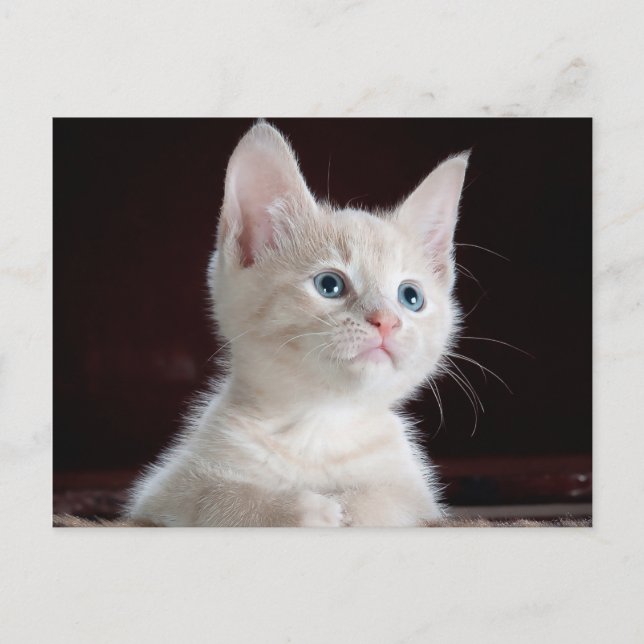 Postal Su Personalizado fotográfico (Anverso)