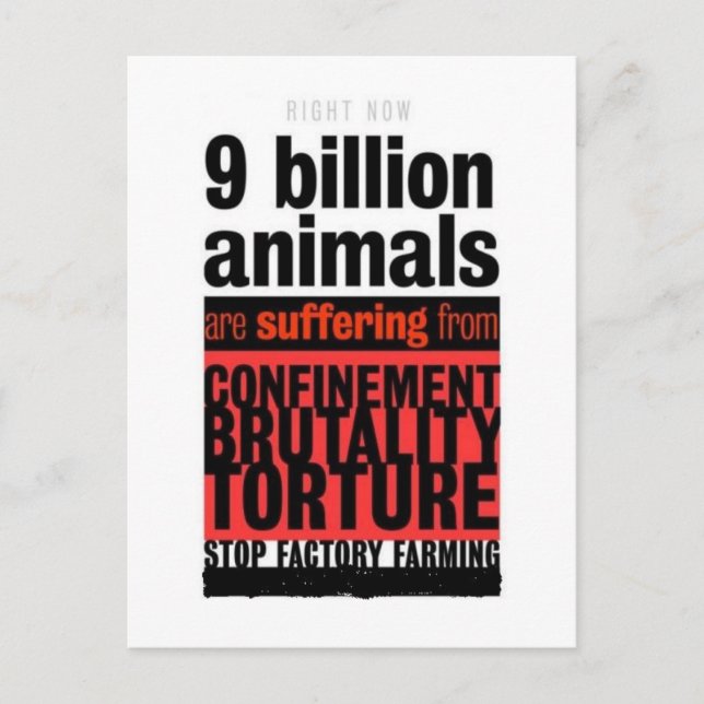 Postal Su sufrimiento (Anverso)