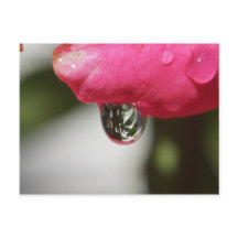 Subió con una visión