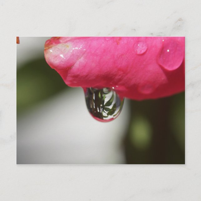 Postal Subió con una visión (Anverso)