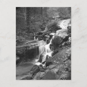 Postal Subir las caídas