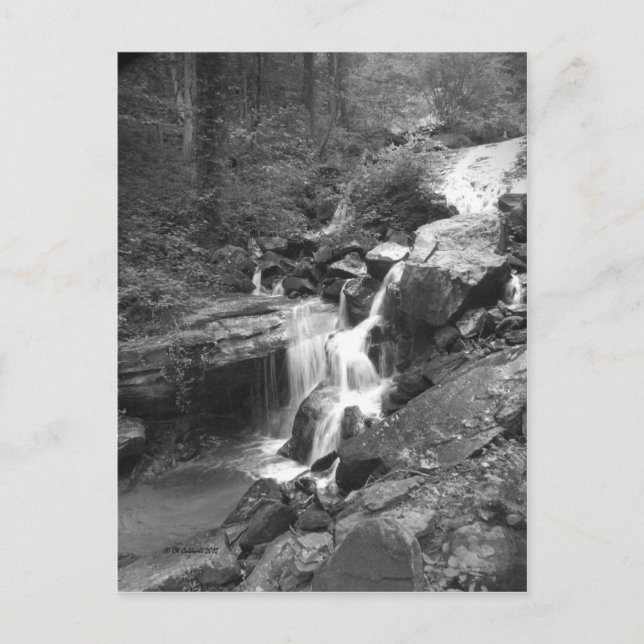 Postal Subir las caídas (Anverso)