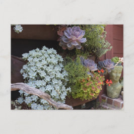 Postal Succulents Postcard