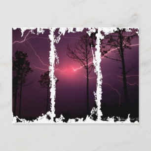 Postal sucia 3Casillas