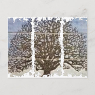 Postal sucia 3Casillas