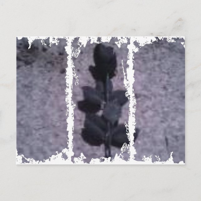 Postal sucia 3Casillas (Anverso)