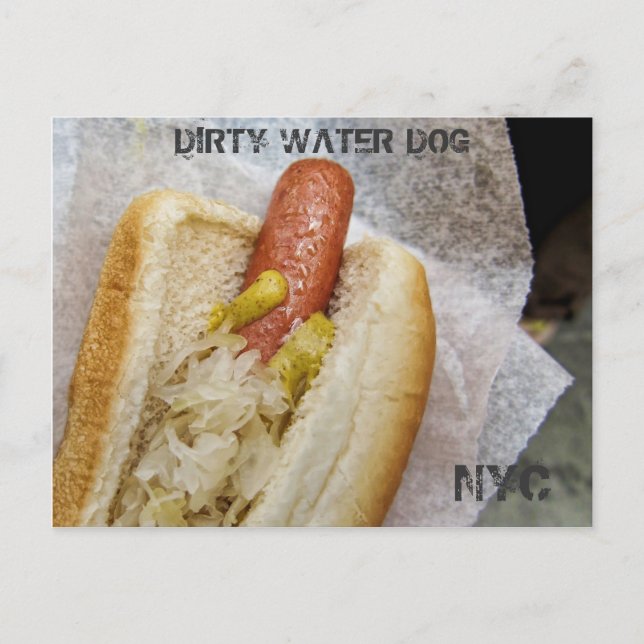 Postal sucia del perro de agua NYC (Anverso)