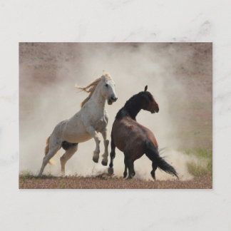 Postal Sucio negocio