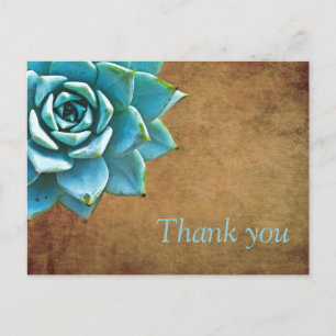 Postal Suculentas gracias a Watercolor Rustic Brown