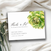 SUCULENTE COLOR DE AGUA VERDE VIBRANTE GRACIAS