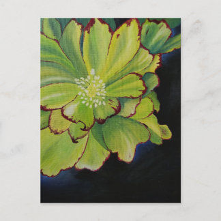 Postal Suculento