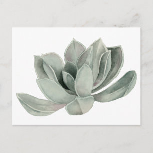 Postal Suculento Ilustracion de acuarela vegetal