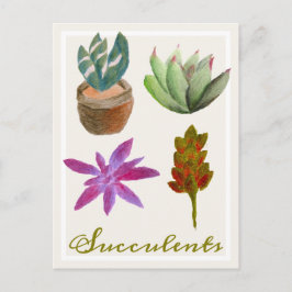 Postal Suculento Planta Coloración Lápiz Dibuja Postcard