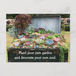 Postal Suculentos en el tesoro de Chest