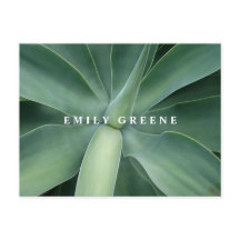 Suculentos Notecards