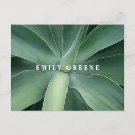 Postal Suculentos Notecards