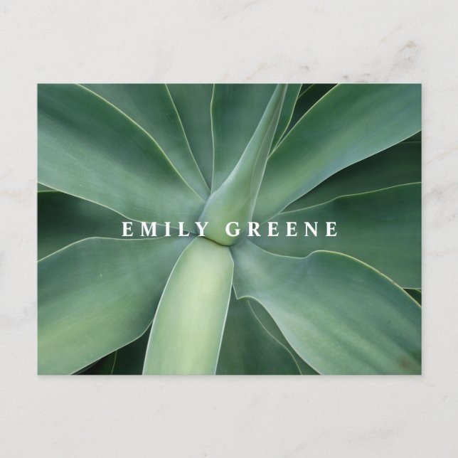Postal Suculentos Notecards (Anverso)