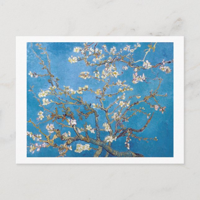 Postal Sucursales con almendra Blossom Van Gogh (Anverso)