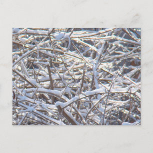 Postal Sucursales de hielo con nieve en invierno