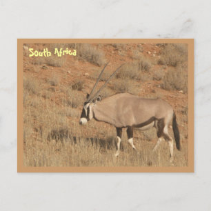 Postal Sudáfrica
