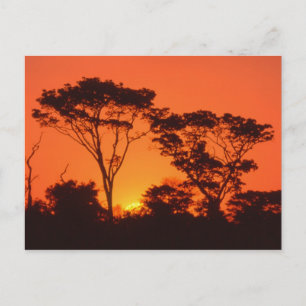 Postal Sudáfrica.  Atardecer africano.