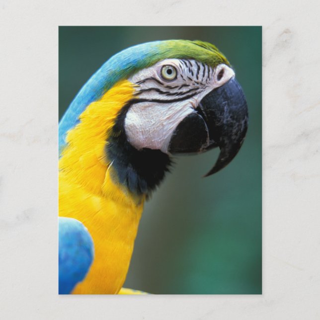 Postal Sudamérica, Brasil, Parque Nacional Iguacu, (Anverso)