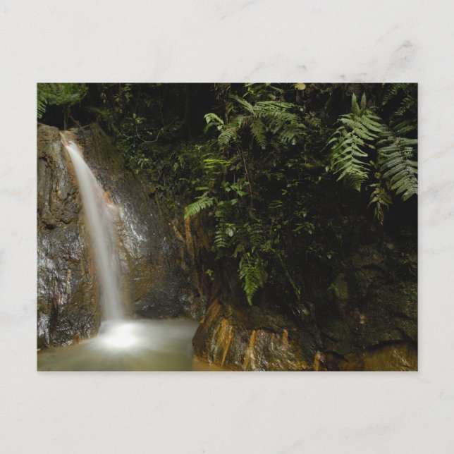 Postal Sudamérica, Ecuador, ladera oriental de la (Anverso)
