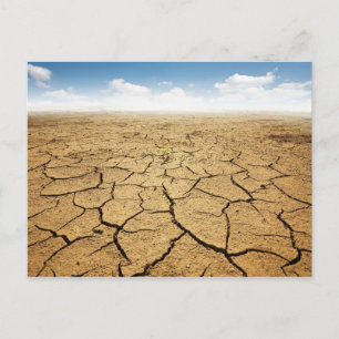 Postal Suelo de desierto roto