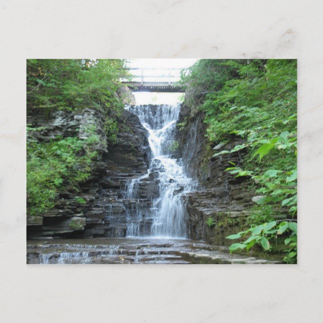 Postal Suelo de mariposa superior cae Ithaca, NY (Anverso)