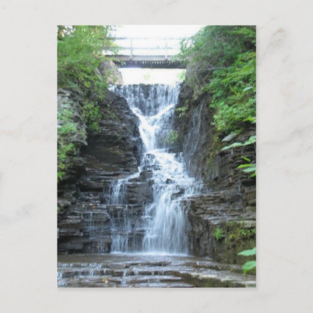 Postal Suelo de mariposa superior cae Ithaca, NY (Anverso)